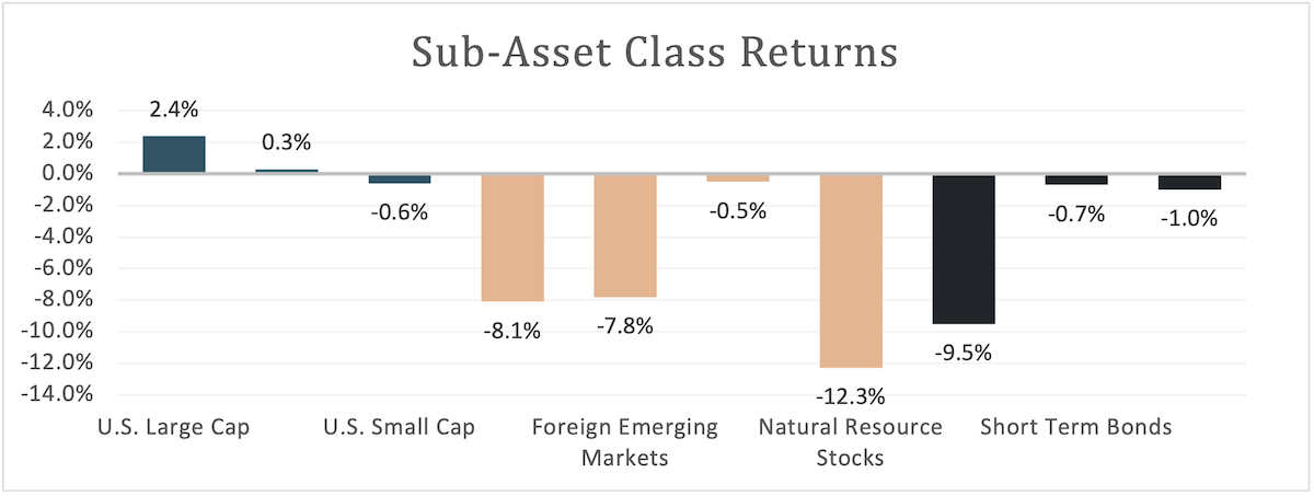 Q1-2025-SubAssetClassReturns