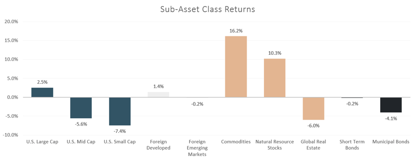 sub-asset class returns2